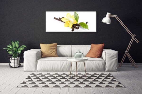 Obraz Canvas Vanilka listy rastlina 125x50 cm