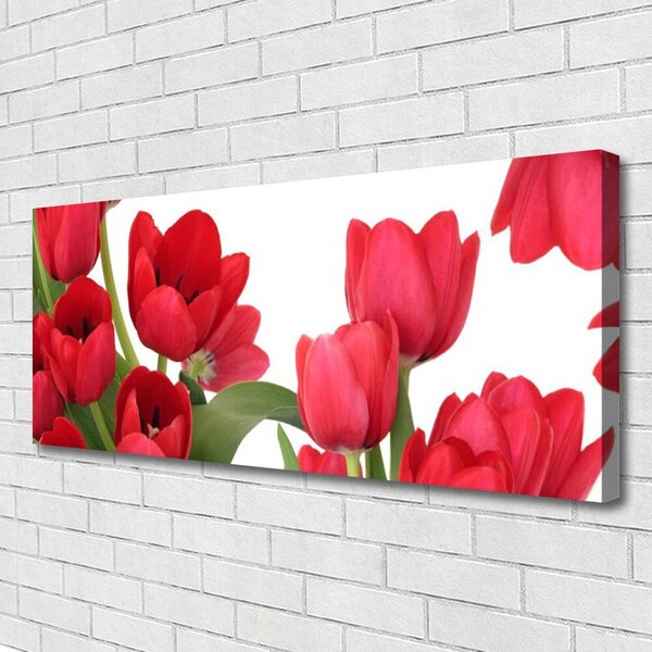 Obraz Canvas Tulipány kvety rastlina 125x50 cm