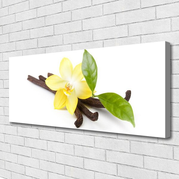 Obraz Canvas Vanilka listy rastlina 125x50 cm