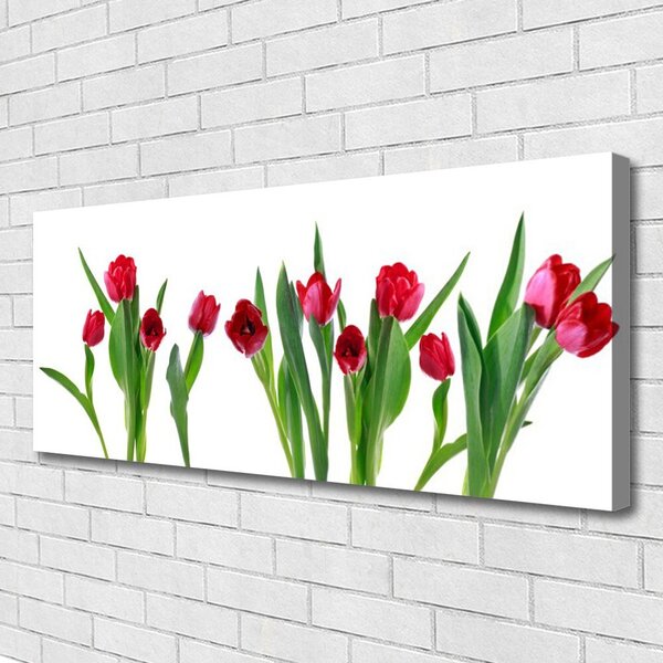 Obraz Canvas Tulipány kvety rastlina 125x50 cm