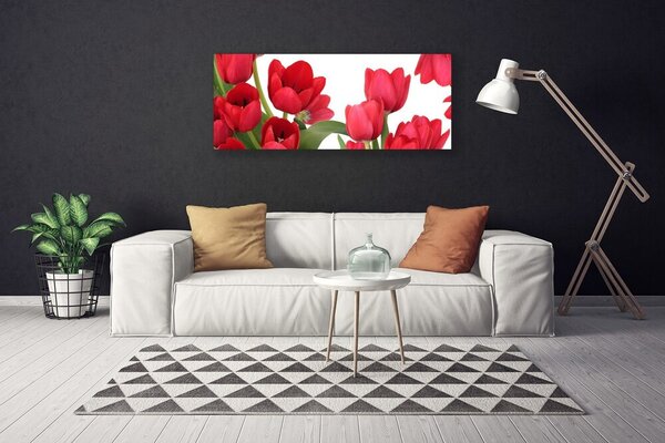 Obraz Canvas Tulipány kvety rastlina 125x50 cm