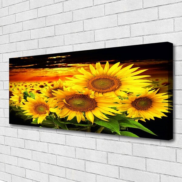 Obraz Canvas Slnečnica kvet rastlina 125x50 cm