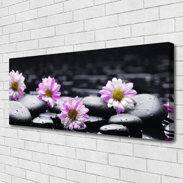 Obraz Canvas Kvet kamene rastlina 125x50 cm