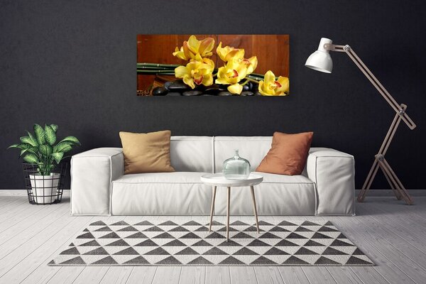 Obraz Canvas Kvet kamene rastlina 125x50 cm