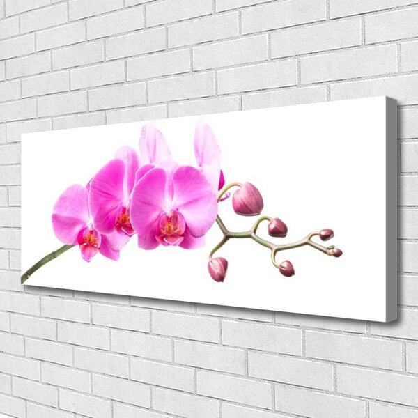 Obraz Canvas Kvety rastlina príroda 125x50 cm