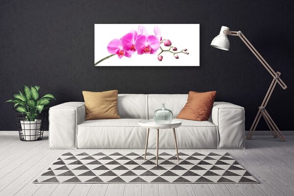 Obraz Canvas Kvety rastlina príroda 125x50 cm