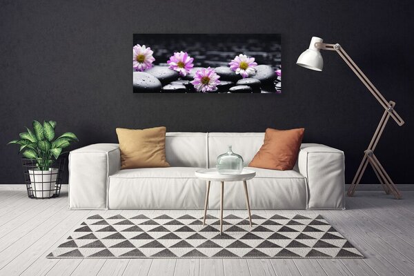 Obraz Canvas Kvet kamene rastlina 125x50 cm