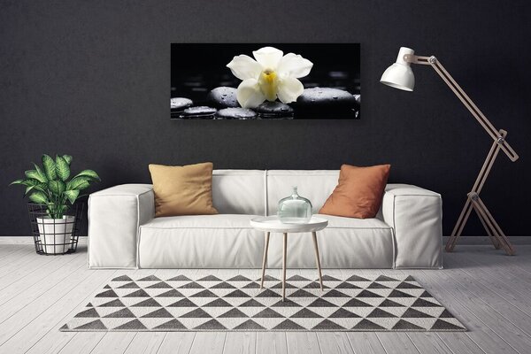 Obraz Canvas Kvet kamene rastlina 125x50 cm