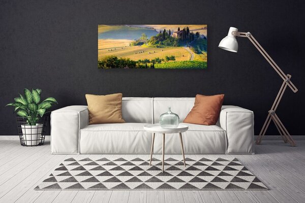 Obraz Canvas Pole stromy príroda 125x50 cm