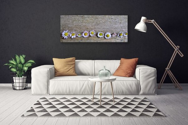 Obraz Canvas Sedmokráska rastlina príroda 125x50 cm