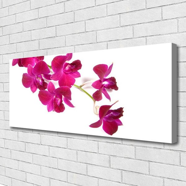 Obraz Canvas Kvety rastlina príroda 125x50 cm