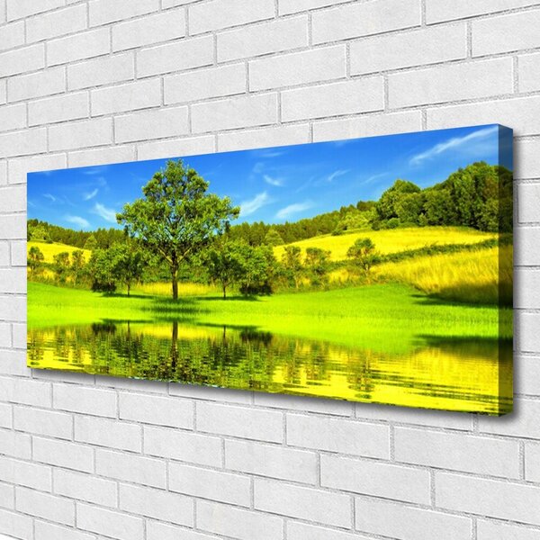 Obraz Canvas Lúka strom príroda 125x50 cm