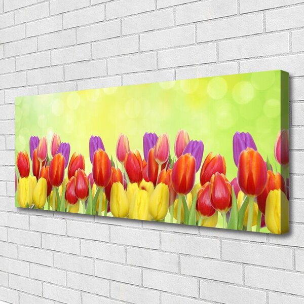 Obraz Canvas Tulipány kvety rastlina 125x50 cm