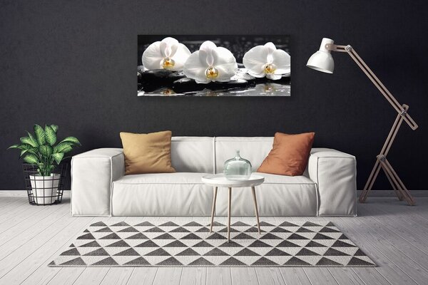 Obraz Canvas Kvet kamene rastlina 125x50 cm