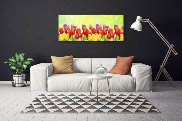 Obraz Canvas Tulipány kvety rastlina 125x50 cm