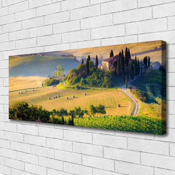 Obraz Canvas Pole stromy príroda 125x50 cm