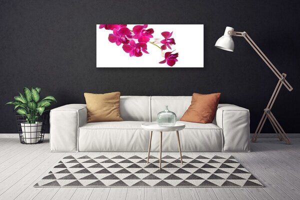 Obraz Canvas Kvety rastlina príroda 125x50 cm