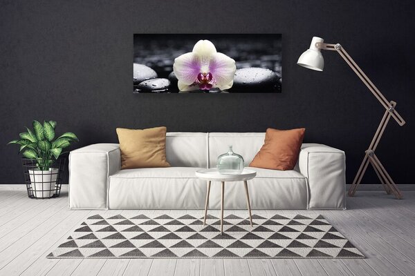 Obraz Canvas Kvet kamene rastlina 125x50 cm
