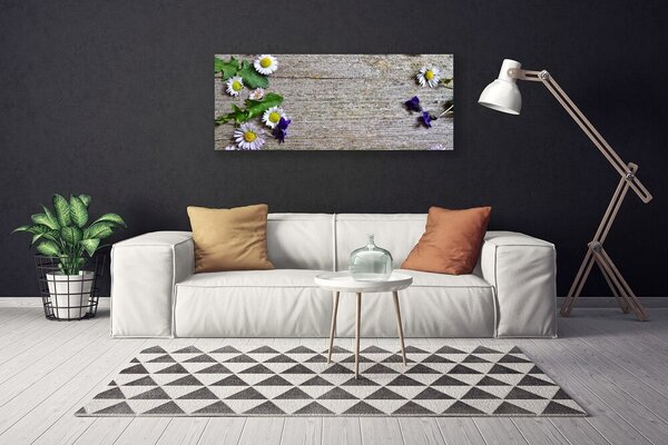 Obraz Canvas Sedmokráska rastlina príroda 125x50 cm