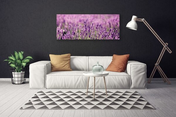 Obraz Canvas Kvety rastlina príroda 125x50 cm