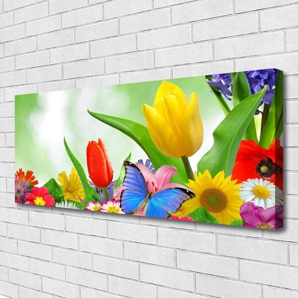 Obraz Canvas Motýľ kvety príroda 125x50 cm