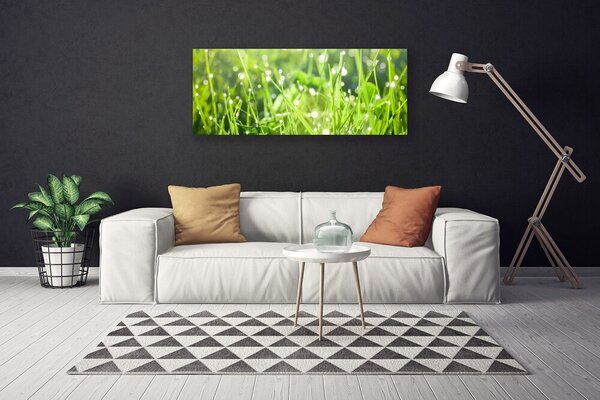 Obraz Canvas Tráva rastlina príroda 125x50 cm