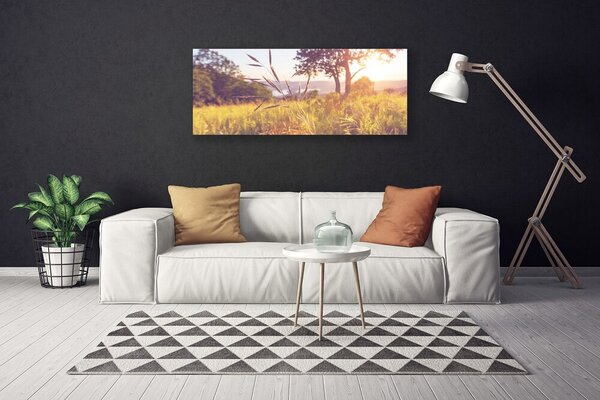 Obraz Canvas Lúka tráva strom príroda 125x50 cm