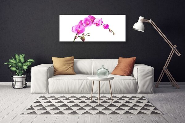 Obraz Canvas Kvety rastlina príroda 125x50 cm