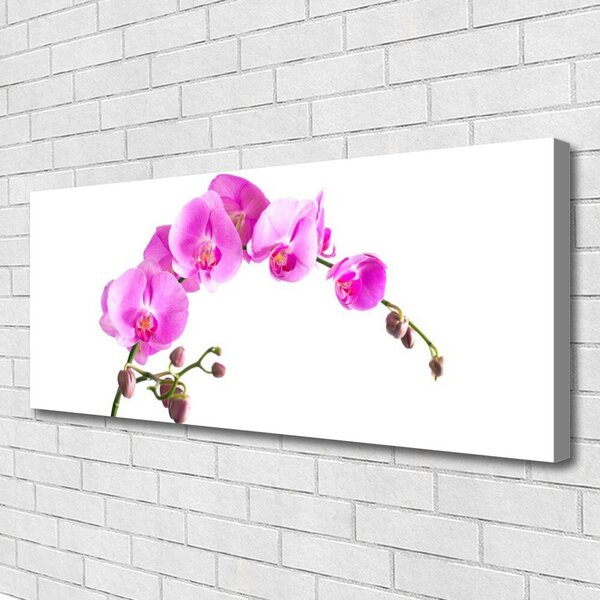 Obraz Canvas Kvety rastlina príroda 125x50 cm