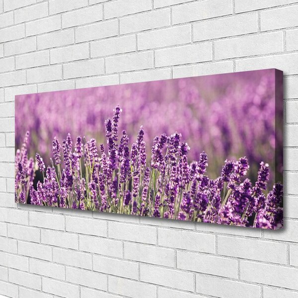 Obraz Canvas Kvety rastlina príroda 125x50 cm