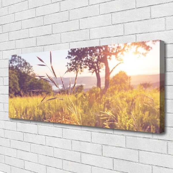 Obraz Canvas Lúka tráva strom príroda 125x50 cm