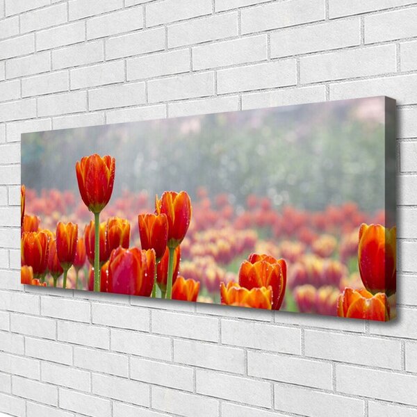 Obraz Canvas Tulipány kvety rastlina 125x50 cm