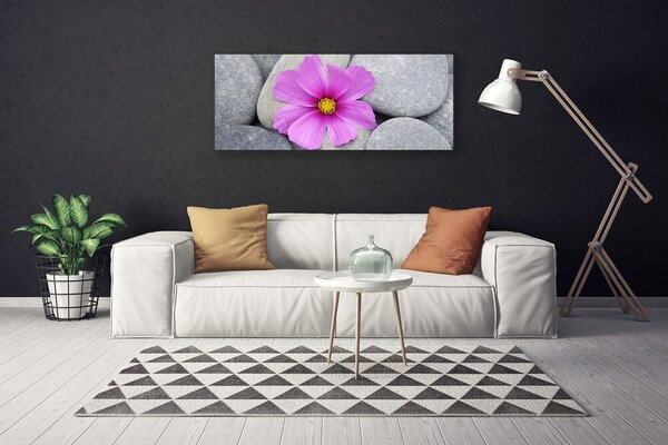 Obraz Canvas Kvet kamene rastlina 125x50 cm