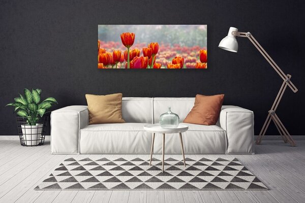 Obraz Canvas Tulipány kvety rastlina 125x50 cm