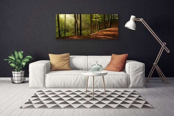 Obraz Canvas Les stromy príroda 125x50 cm