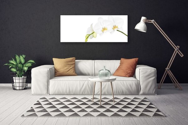 Obraz Canvas Kvety rastlina príroda 125x50 cm