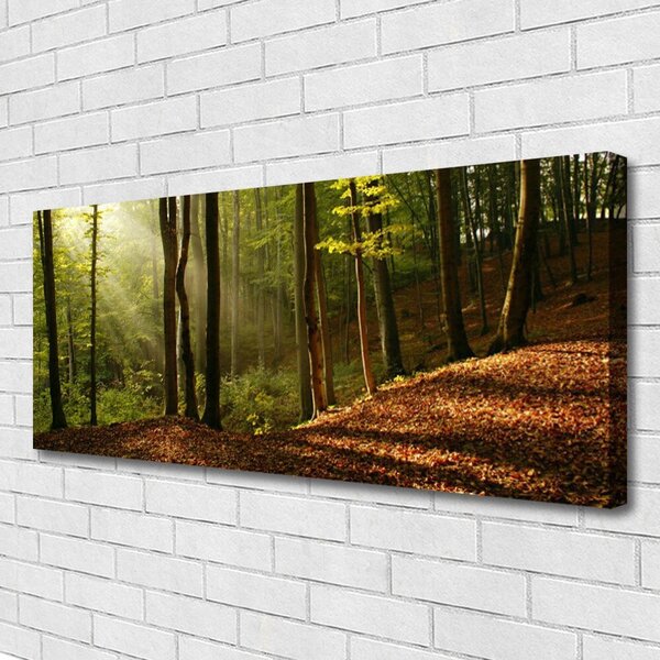 Obraz Canvas Les stromy príroda 125x50 cm