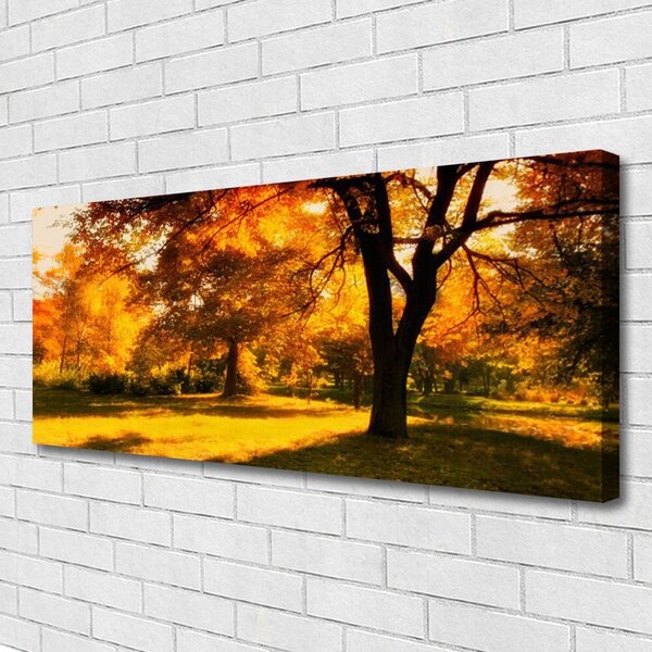 Obraz Canvas Stromy jeseň príroda 125x50 cm