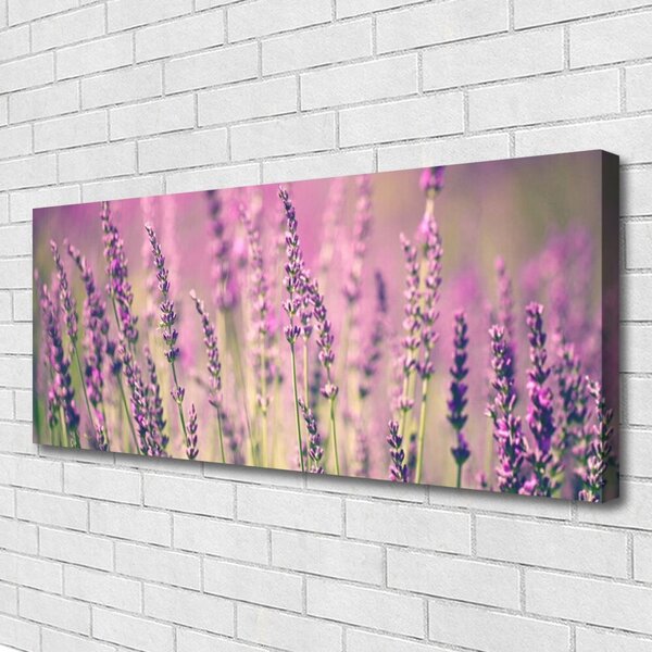 Obraz Canvas Kvety rastlina príroda 125x50 cm
