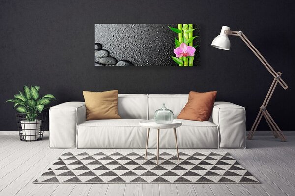 Obraz Canvas Bambus stonka kvet rastlina 125x50 cm