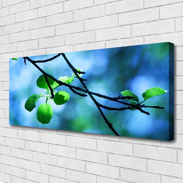 Obraz Canvas Vetva listy rastlina príroda 125x50 cm