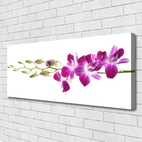 Obraz na plátne Kvety rastlina príroda 125x50 cm