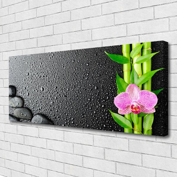 Obraz Canvas Bambus stonka kvet rastlina 125x50 cm
