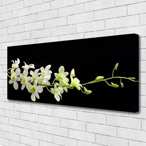 Obraz na plátne Kvety rastlina príroda 125x50 cm