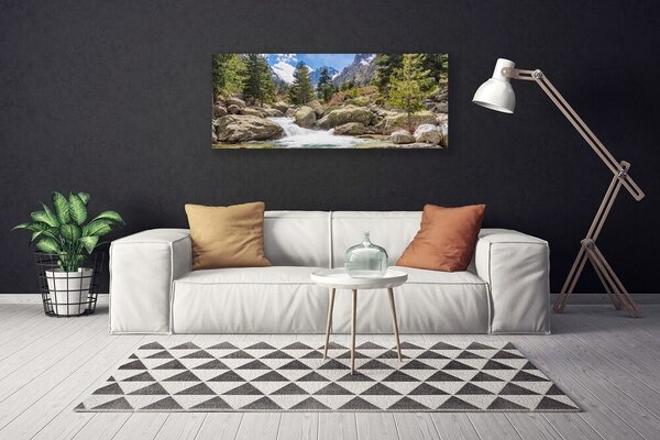 Obraz Canvas Hora les kamene rieka 125x50 cm
