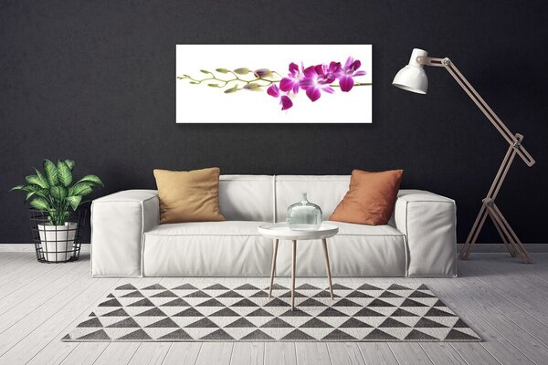 Obraz na plátne Kvety rastlina príroda 125x50 cm
