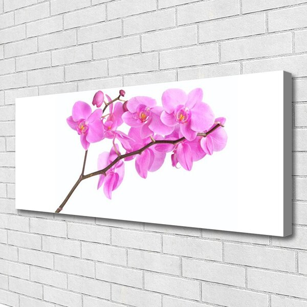 Obraz Canvas Kvety rastlina príroda 125x50 cm