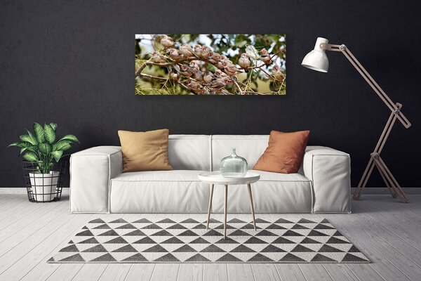 Obraz na plátne Vtáky zvieratá 125x50 cm