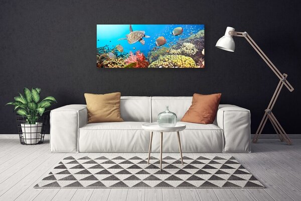 Obraz na plátne Koralový útes krajina 125x50 cm