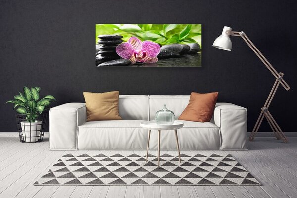 Obraz na plátne Kvet kamene rastlina 125x50 cm